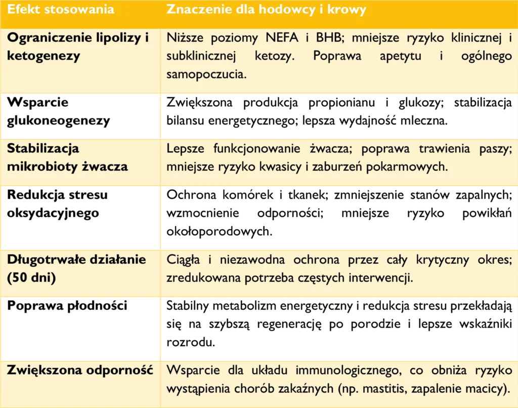 Ketoza-zastosowanie KetoPrevent 
